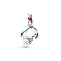 Charm Pandora in Argento 735066C01 - 735066C01